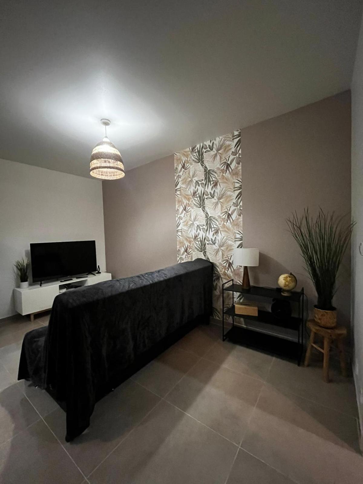 Appartement Des Carmes นีมส์ ภายนอก รูปภาพ